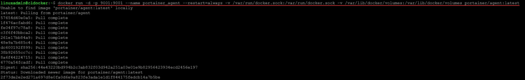 install the portainer agent installation on a docker host