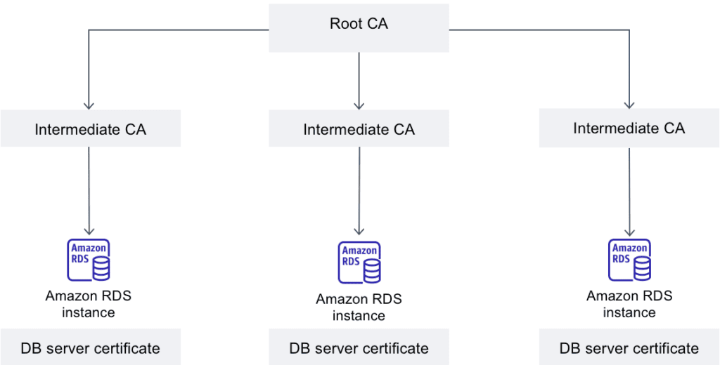 overview of aws rds ca